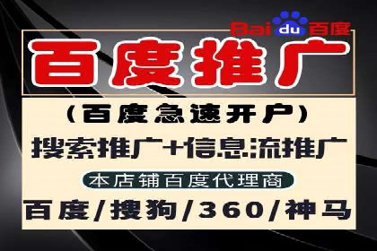 探索百度推广托管的奥秘：成功案例揭秘